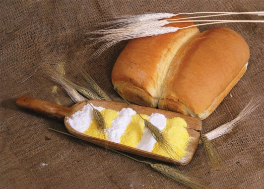 domaci bijeli kruh